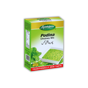 Alamgeer Podina Chutney Mix 50gms