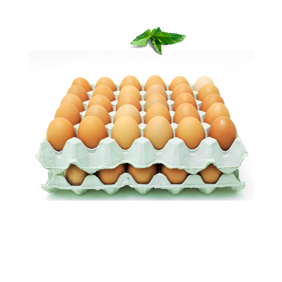 Knowl Speckled Eggs Tray x 30 pack (Medium)